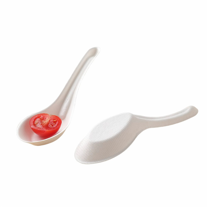 Sugarcane Bagasse Cutlery Paper Spoon from mmcis china